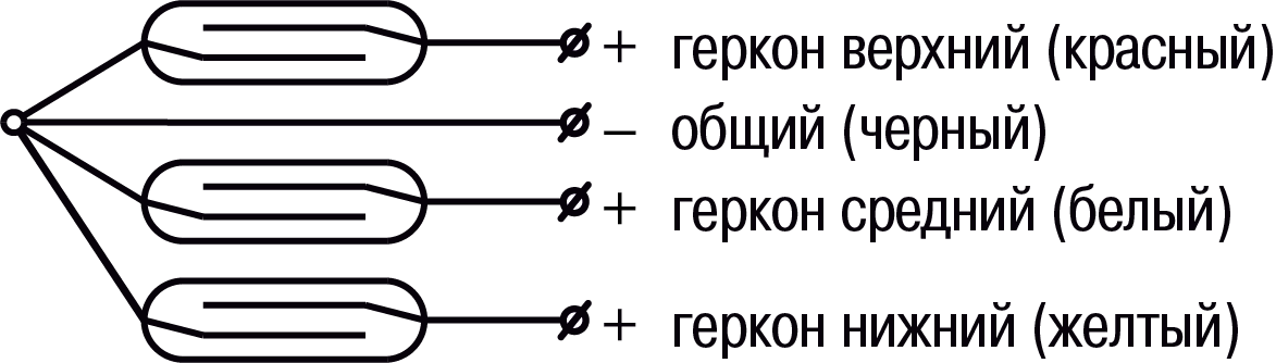 Graphic
