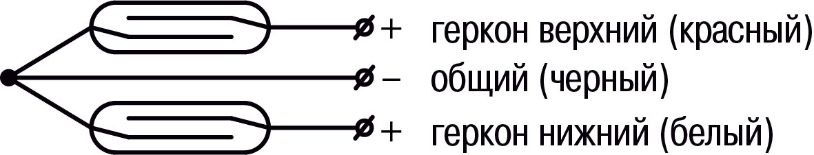 Graphic