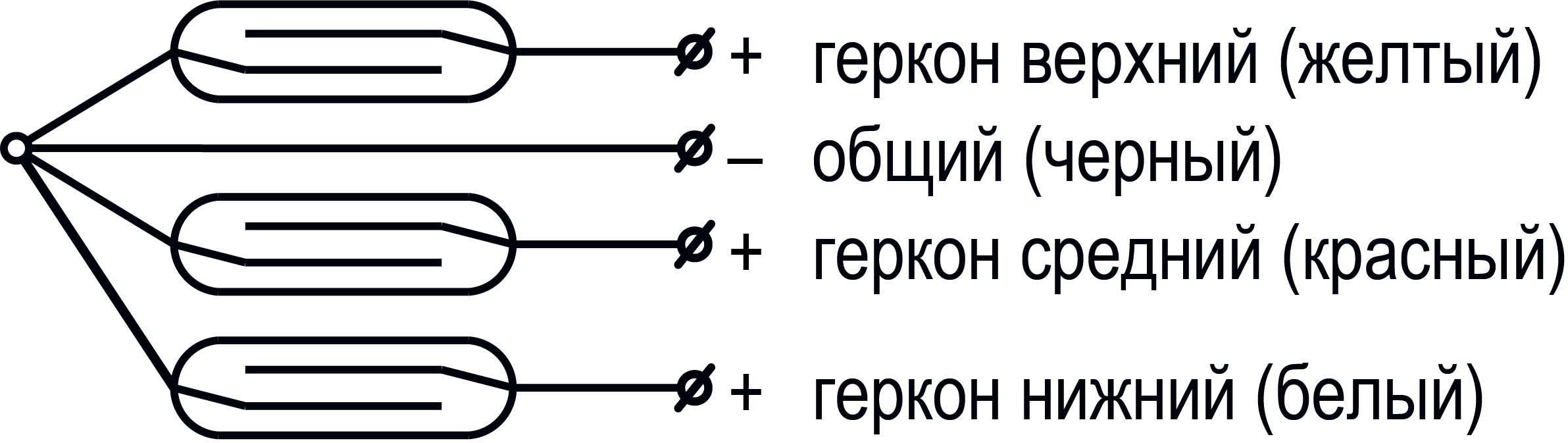 Graphic
